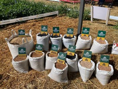 Dia de Campo Coprossel -Evento reuniu produtores, lideranças e empresas parceiras para apresentar tecnologias 